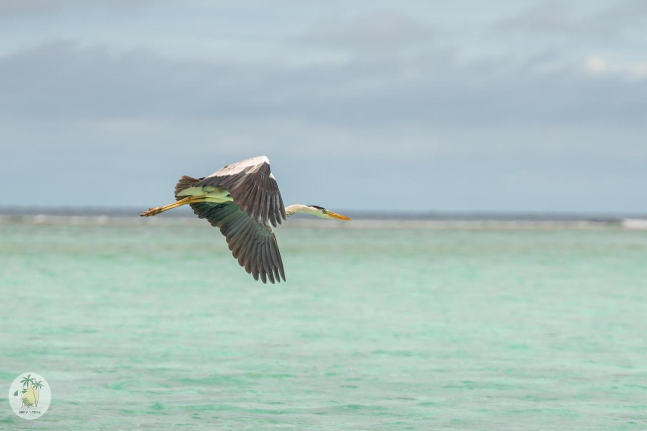 Shifa Lodge Maldives Feridhoo 외부 사진